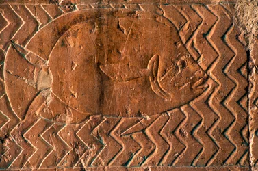 Representation of fish, scenes of Kingdom of Punt, south wall of central colonnade, Mortuary Temple of Hatshepsut, Deir el-Bahari, Luxor, Thebes (Unesco World Heritage List)