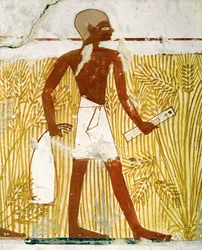 Scribe with reed pen box measuring grain