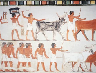 Shepherds and cattle, fresco, south wall, longitudinal chamber, Theban Tomb TT69, Sheikh Abd el-Qurna, Thebes