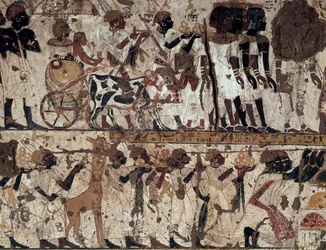 Tribute to King Tutankhamun