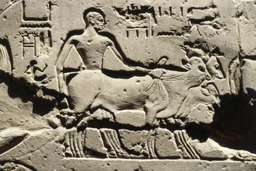 Courtyard of Ramses II, Luxor Temple, New Kingdom, Dynasty XIX