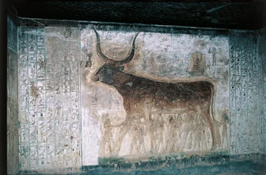 Egypt, Luxor, Valley of the Kings, Tomb of Seti I, Interior Frescoes Depicting Goddess Nut as Cow