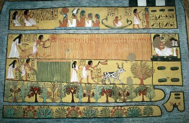 Egypt, Thebes, Village of State Labourers at Dayr al-Madinah (Deir el-Medina), Tomb of Sennedjem, Fresco Depicting Agricultural Scenes in the Fields of Ialu, New Kingdom, Dynasty XIX