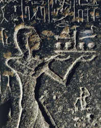 Granite statue depicting Prince Merneptah in worship, dedicated to god Ptah