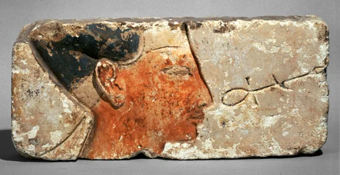 Profile of Pharaoh Ramses II