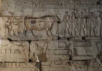 Relief, Temple of Ramses II, Abydos, Egypt