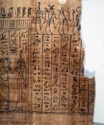 The Book of the Dead: Egyptian hieroglyph on a papyrus of the 22nd dynasty. (detail)