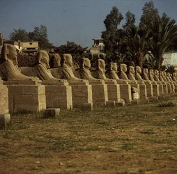 Avenue of Sphinxes, added by Nectanebo I