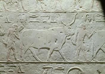 Herdsman leading a bull (detail)