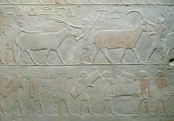 Servants driving an oryx and an antelope and others carrying baggage, from the Mastaba of Akhethotep, Saqqara, Old Kingdom