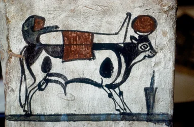 Detail of a Wood Sarcophagus with a Depiction of the Sacred Bull, Api, Carrying a Mummy on Its Back