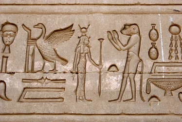 Egyptian antiquity: hieroglyphs on the eastern wall of Hathor Temple, Denderah, Egypt - Egyptian civilization: hieroglyphs carved on the wall of Hathor Temple (or Temple of Tentyra) in Denderah, built under the reign of Pepi I (ca. 2250 BC) - Dendera Templ
