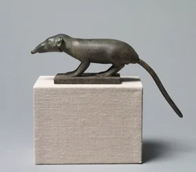 Shrew, 305-30 BC