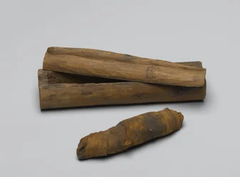 Small coffin of snake, with mummy, 664 BC-322 BC