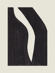 Dynamic Black Curves