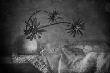 Dark Floral Still Life