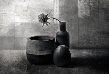 Moody Thistle Vessels