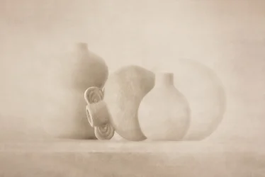 Serene Neutral Forms