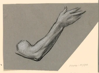 (detail)