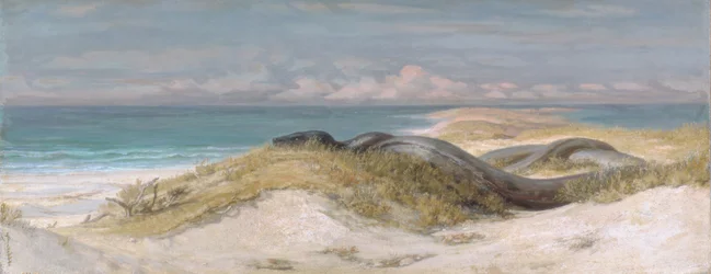 Cave of the Sea Serpent