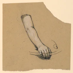 Study of Hand to Mid Bicep