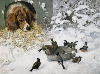 Winterguests