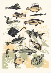 Peach Seaweed Fish