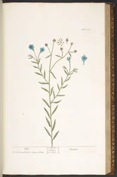 Plate 160, from 
