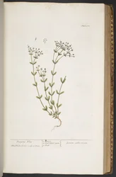 Plate 368, from 
