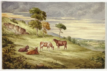 Deer Park, possibly Kilkenny
