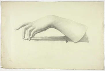 Left Forearm and Hand