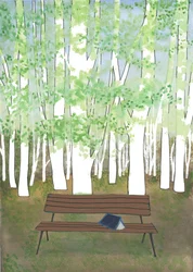 Bench in the Forest