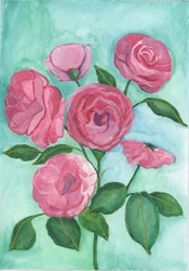 Pink Roses, 2017