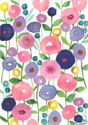 Poppies in Bloom