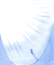 A person