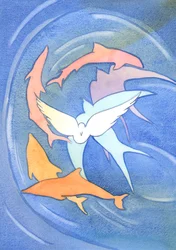 The 