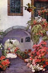 Azaleas in a Portuguese Garden