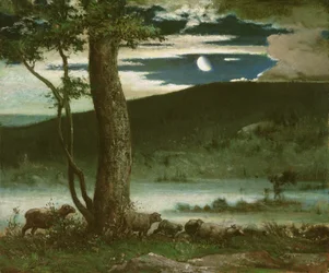 The Midnight Moon