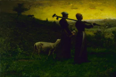 Bringing Home the New Born Lamb