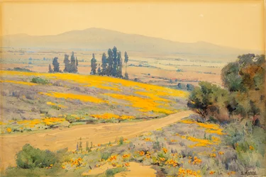 California Spring Landscape