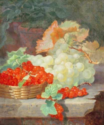 Redcurrants and Grapes