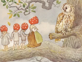 The Tomte Children - Mother Owl