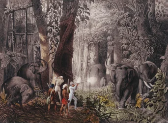 Journey... in East India, Ceylon, Java, China and Bengal