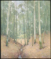 Wood Interior