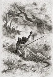 A Leopard Attacking an African, illustration from 