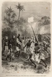 The Arrival of Hamis