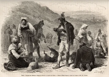 The peasants in the vicinity of Pisino (Croatia), gather for the sale of their farm products on the market: poultry, piglets..., engraving after a drawing by Emile Bayard illustrating the journey in Istria and Dalmatia, in 1874, by Charles Yriarte, publish