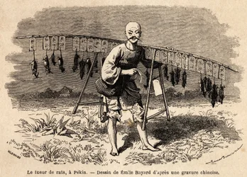 The rat killer in Pekin (drawing by Emile Bayard, to illustrate the journey of Shanghai to Moscow, from 1859 to 1862, by M. de Bourboulon, Minister of France to China)