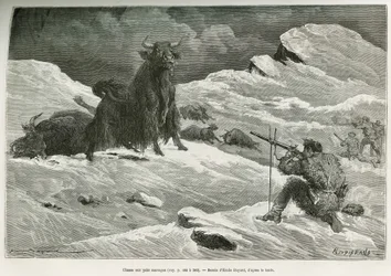 Wild yak hunting scene (Drawing by Emile Bayard)