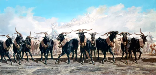 Let us take out the herd